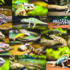 Discover Florida's Fascinating Wildlife Secrets